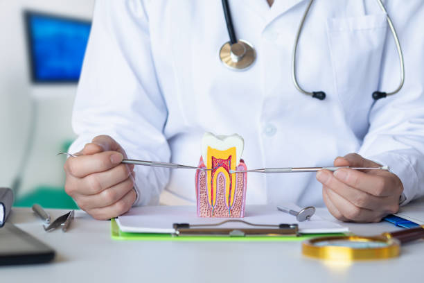 Best Root Canal Emergency Dentist  in Oceana, WV
